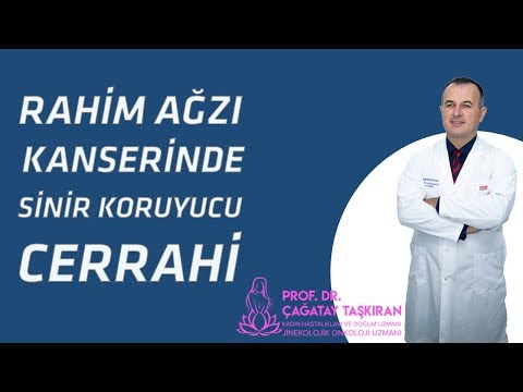 Prof. Dr. Çağatay Taşkıran