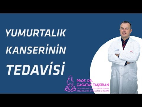 Prof. Dr. Çağatay Taşkıran