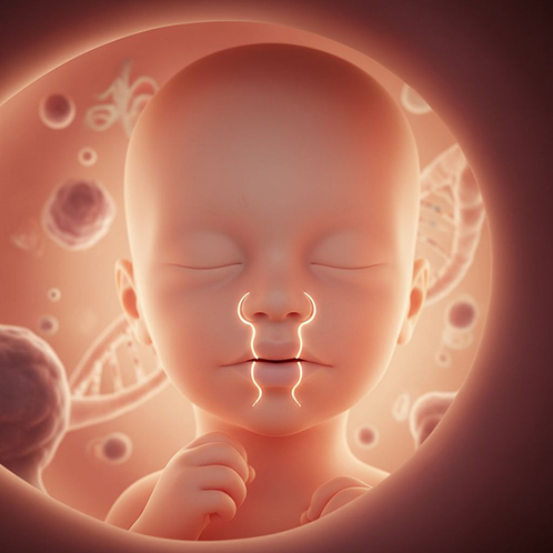 Dudak Damak Yarıkları - Prof. Dr. Hakan Ağır